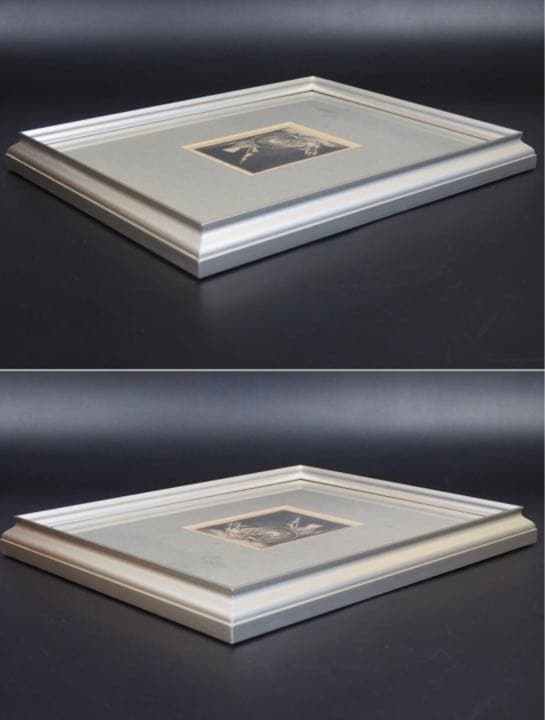 送料無料 フランソワ・ボンヴァン Franois Bonvin 銅版画1861年 - メルカリ