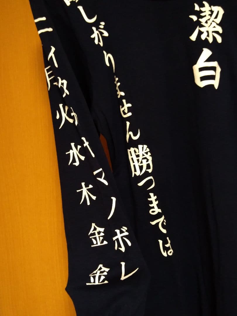 鳥肌実 激レア 希少 美品 廃盤 玉砕スーツ tシャツ Tシャツ ロンT 玉砕