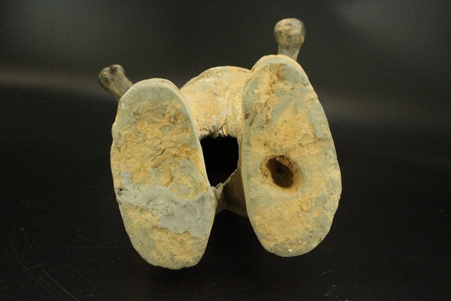 中国美術 加彩 駱駝護人物 俑 高50cm(A882)