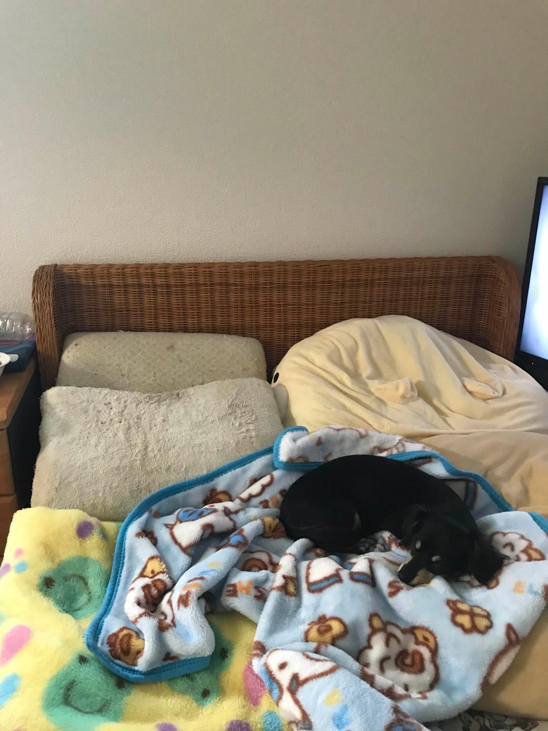 アジアンベッド。