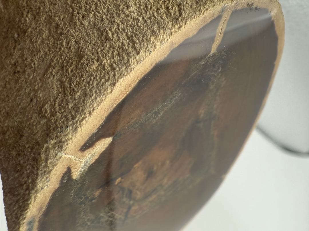 珪化木 超美品 20cm×5cm 625g