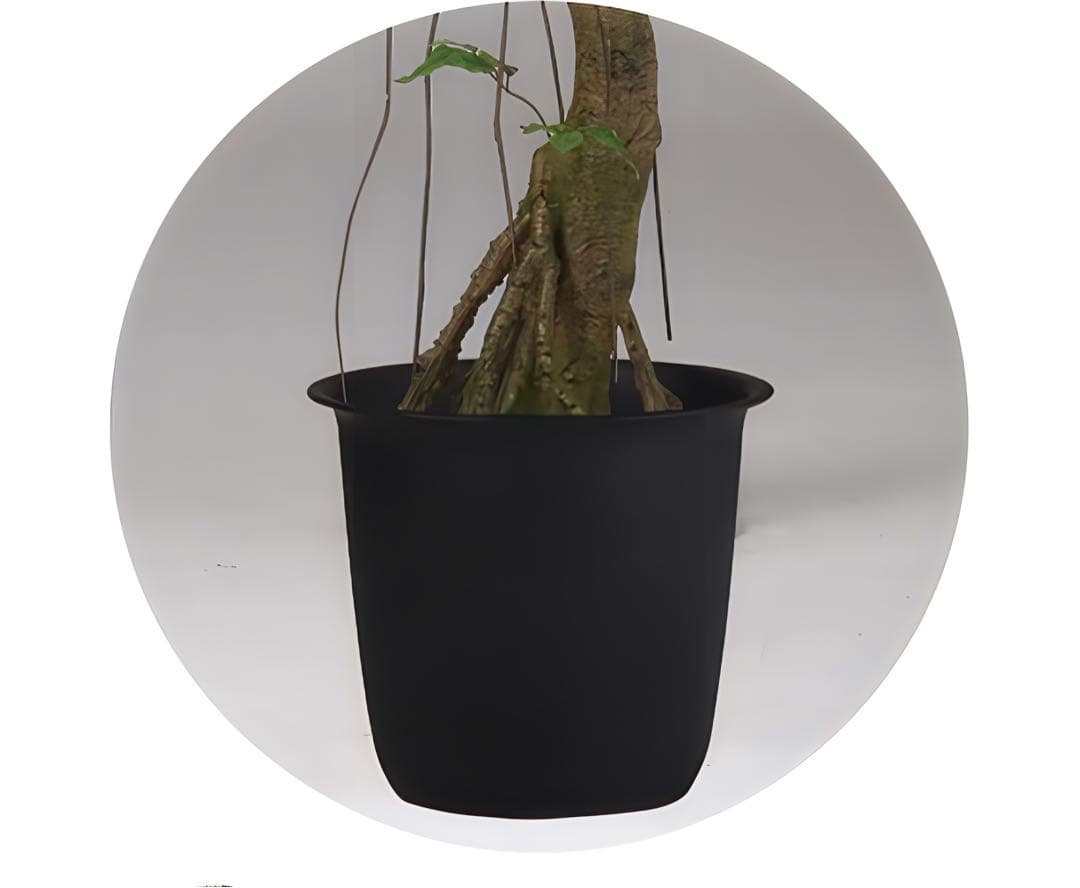 光触媒　人工観葉植物　フェイクグリーン　ヤマモミジ RED コアッド 200