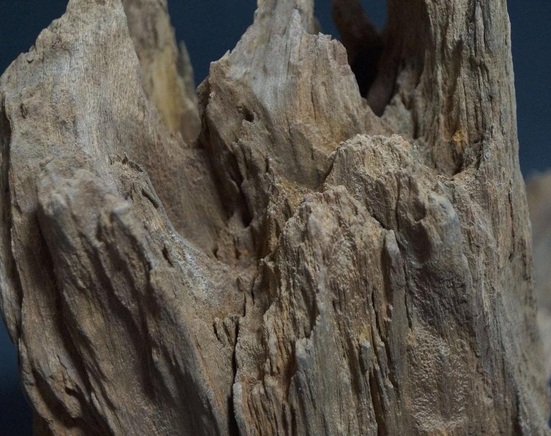 インド産 天然古白檀 特大香木 原木 自然体 山形香木置物 古香木 重量974g