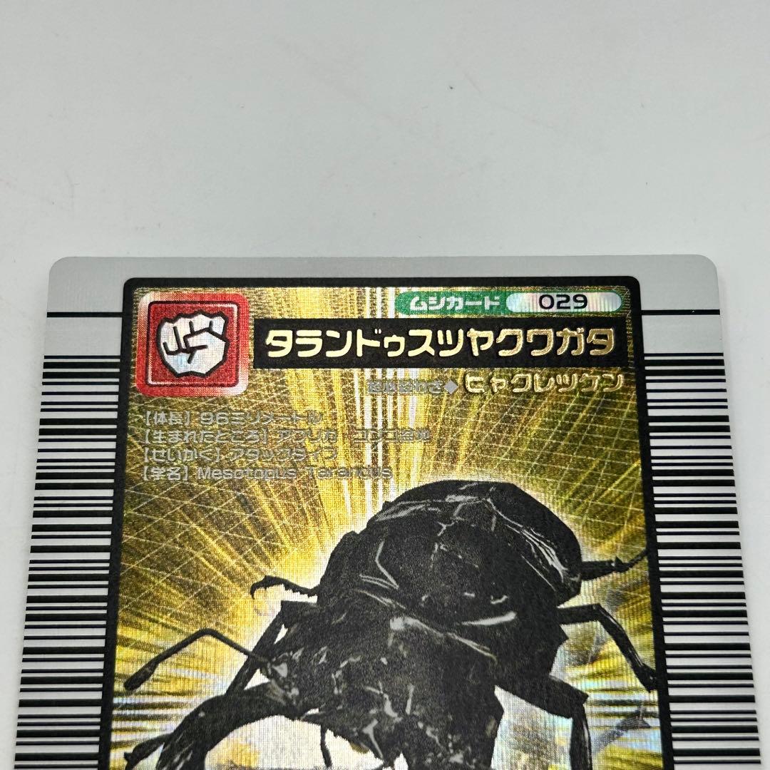 ムシキング 】2005ファースト029タランドゥスツヤクワガタ - メルカリ