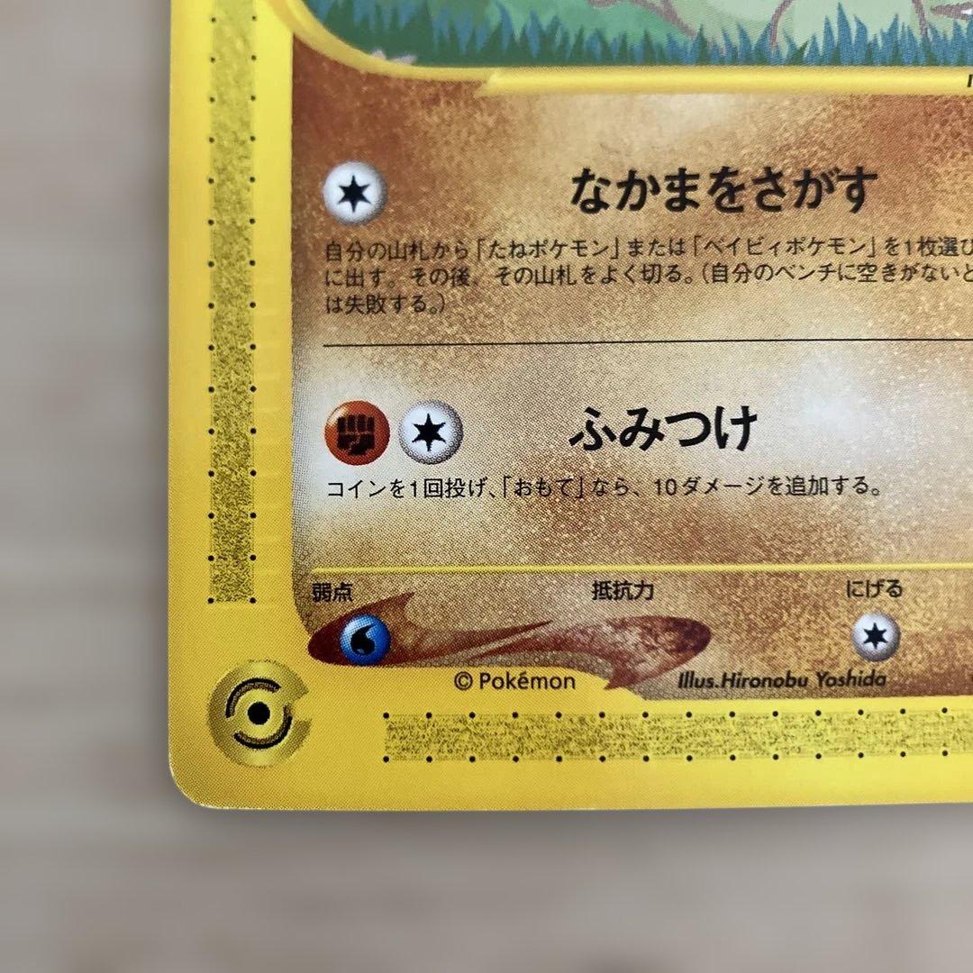 ピカチュウ&ヨーギラス - メルカリ