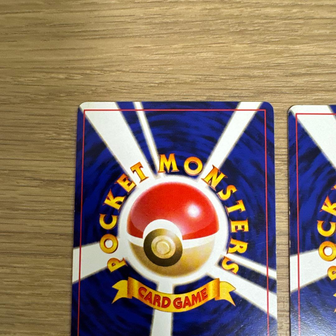 ゼニガメ、カメール イントロパック【5436