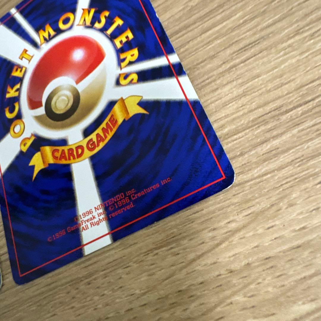 ゼニガメ、カメール イントロパック【5436