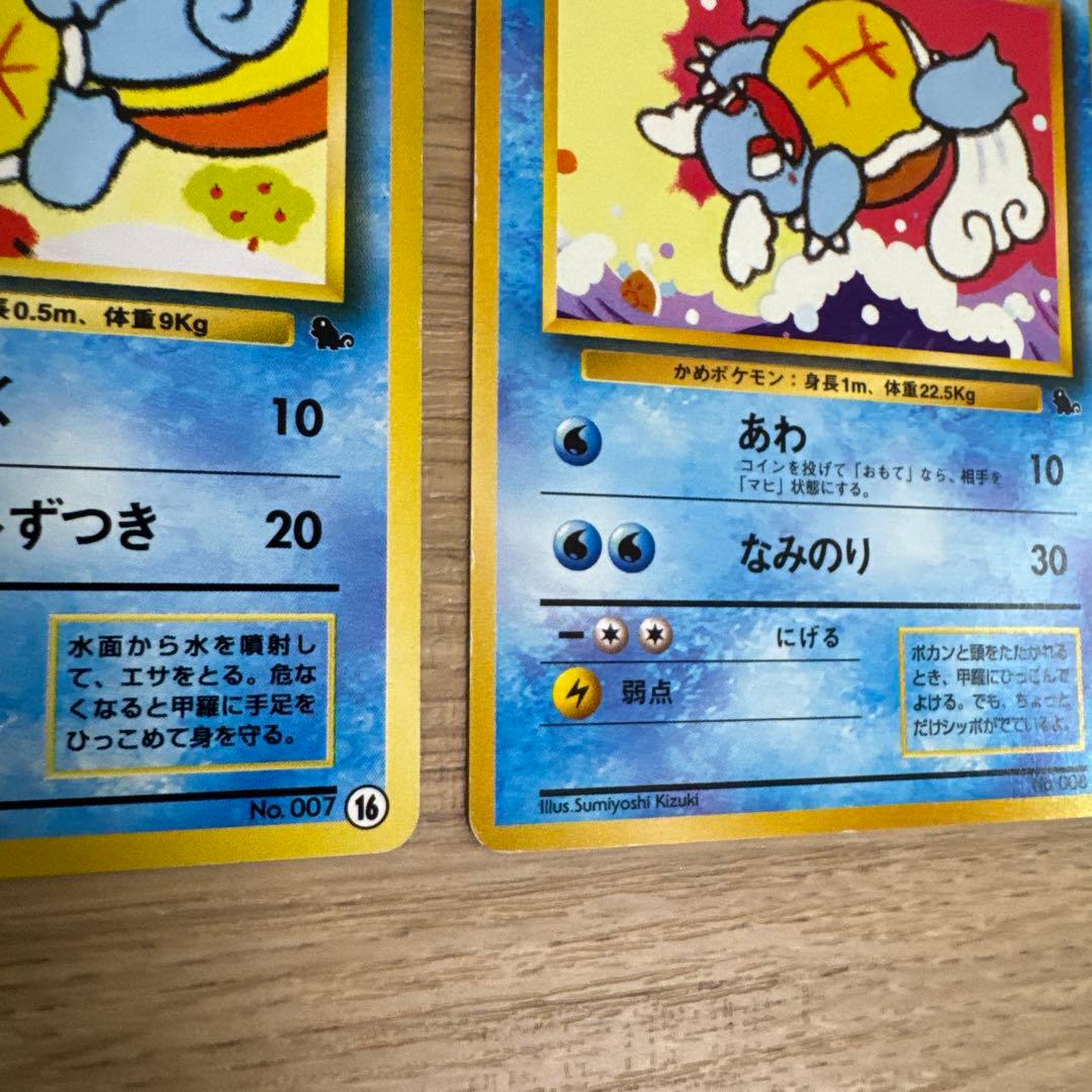 ゼニガメ、カメール イントロパック【5436