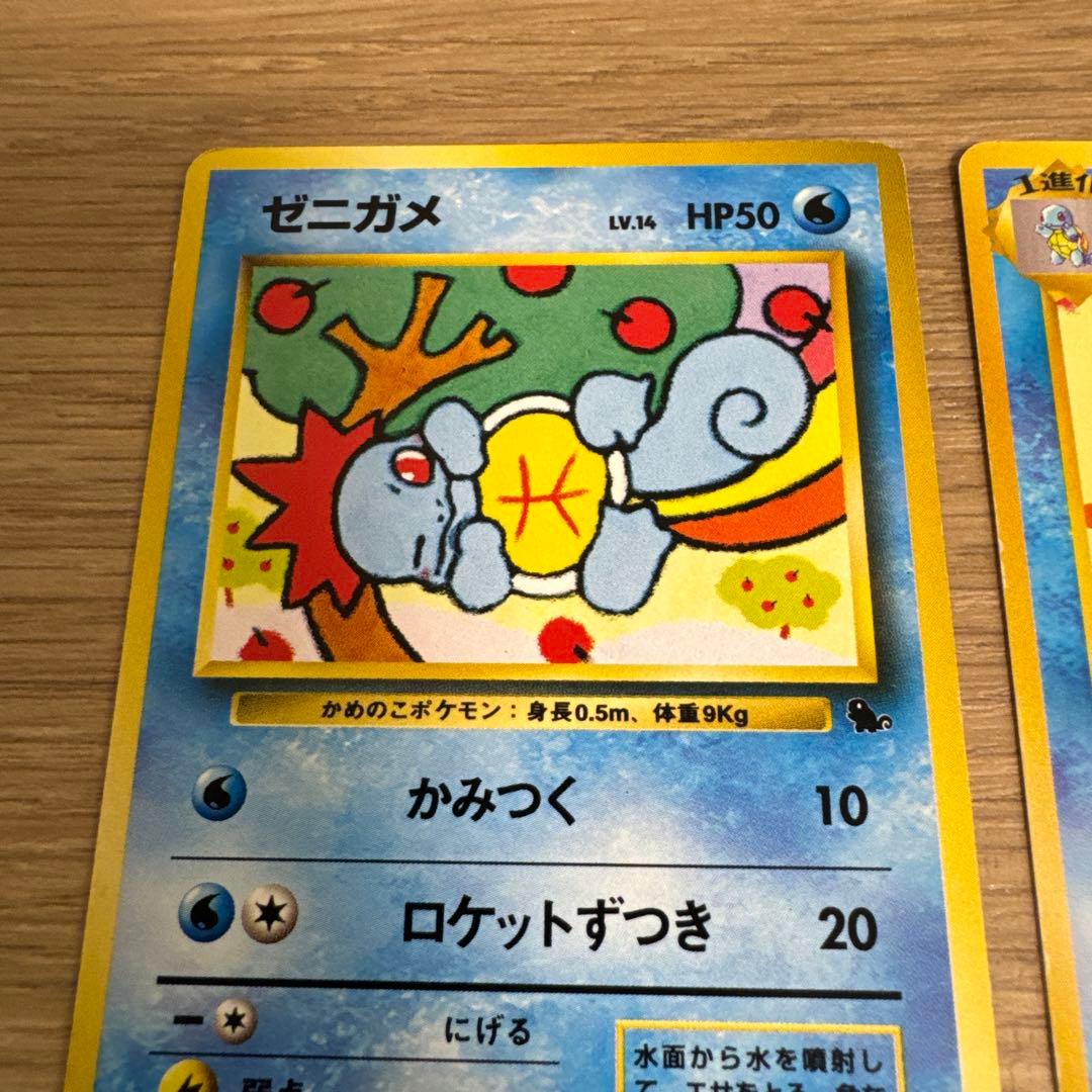 ゼニガメ、カメール イントロパック【5436