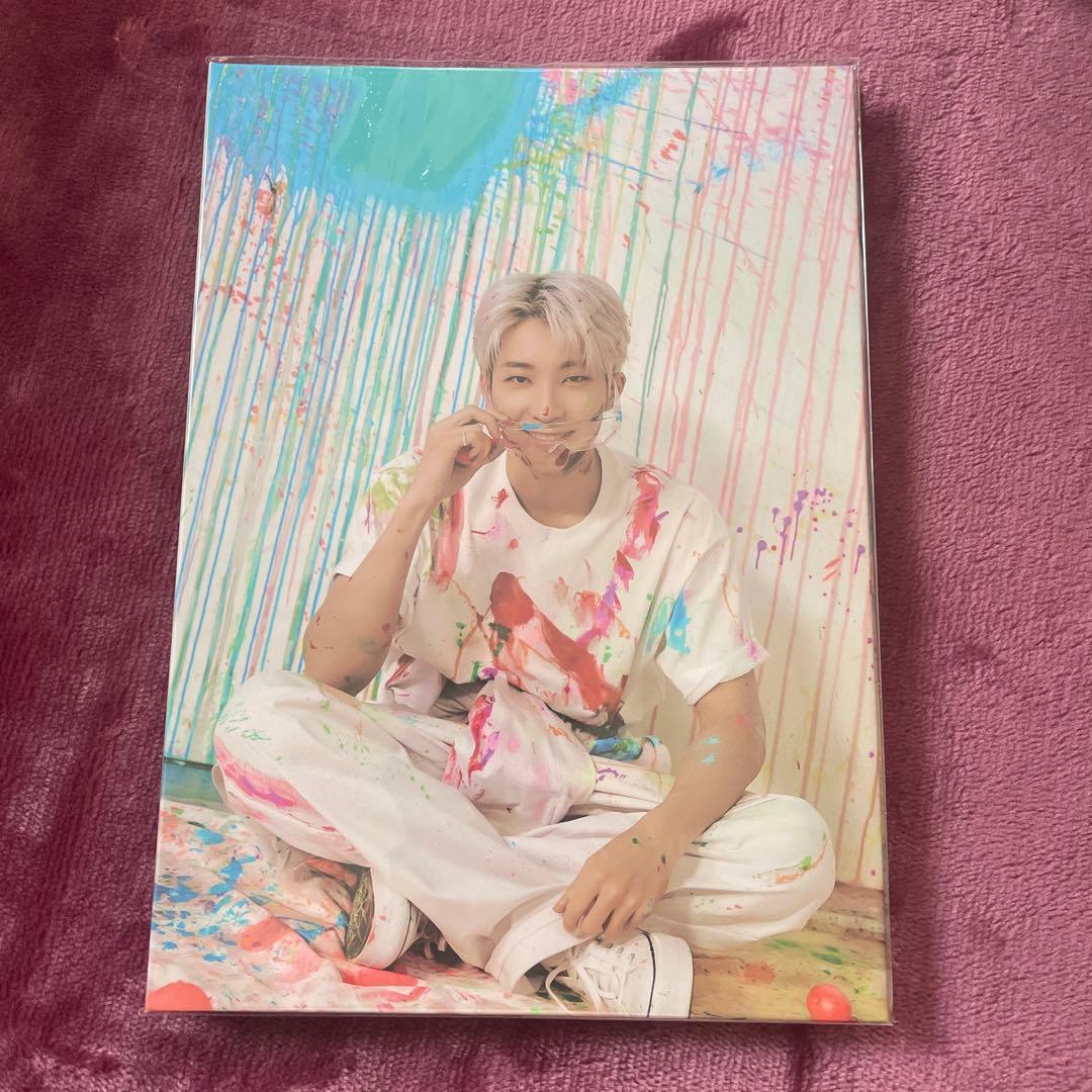 face the sun carat盤 バインダー ウォヌ seventeen - メルカリ