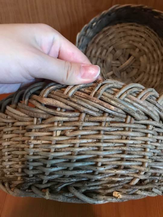 バスケット❀✿作家