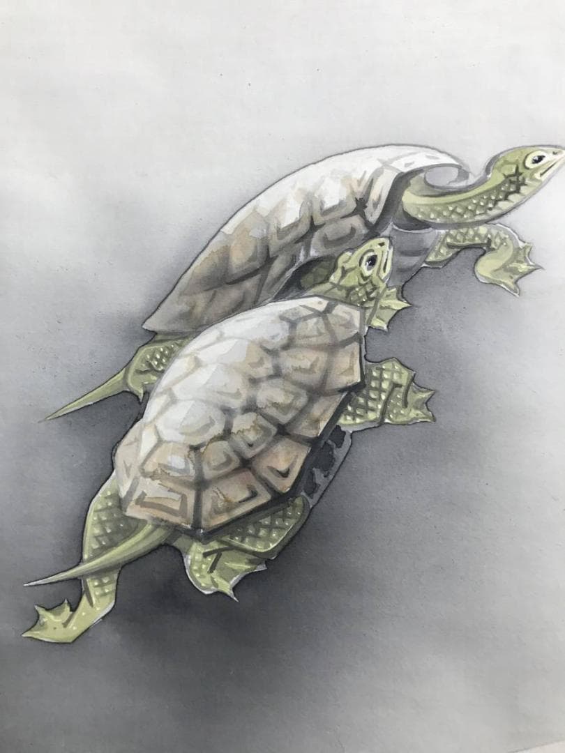 真作】福留明光/寿老人亀鶴図/人物図/鶴亀図/掛軸/名家伝来/AD-15