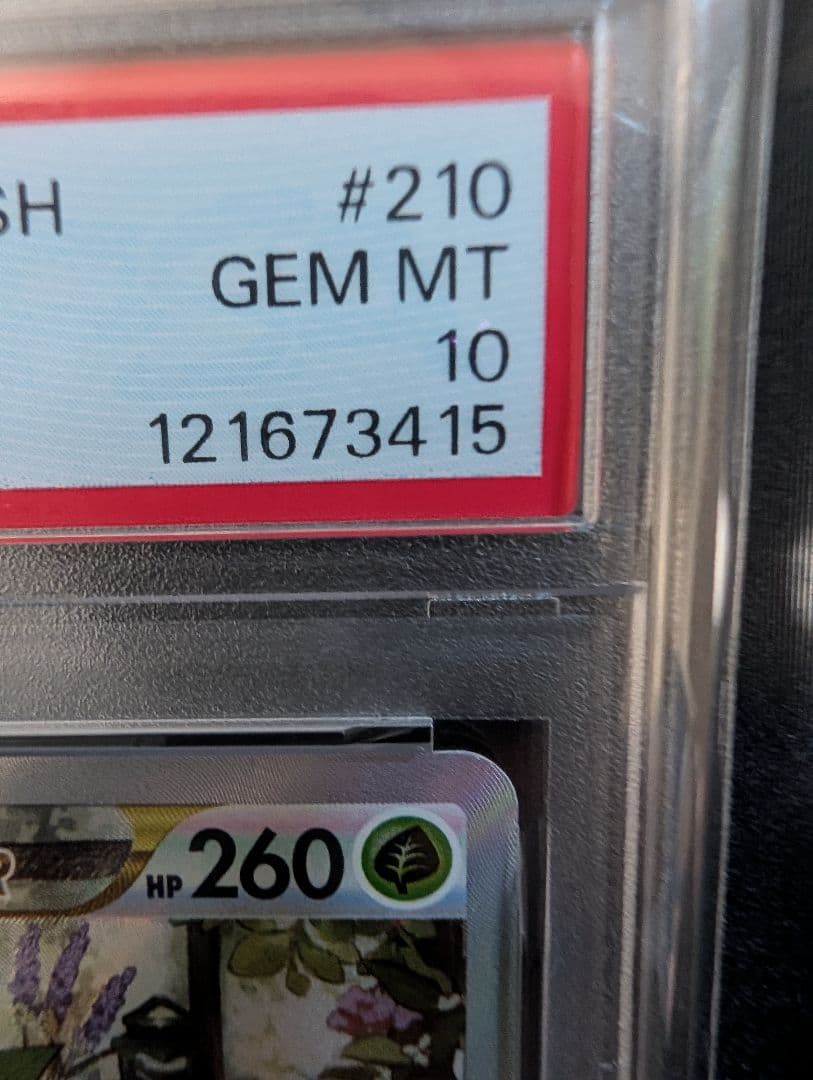 h*m様 PSA10 リーフィア VSTAR SAR S12a 210/172