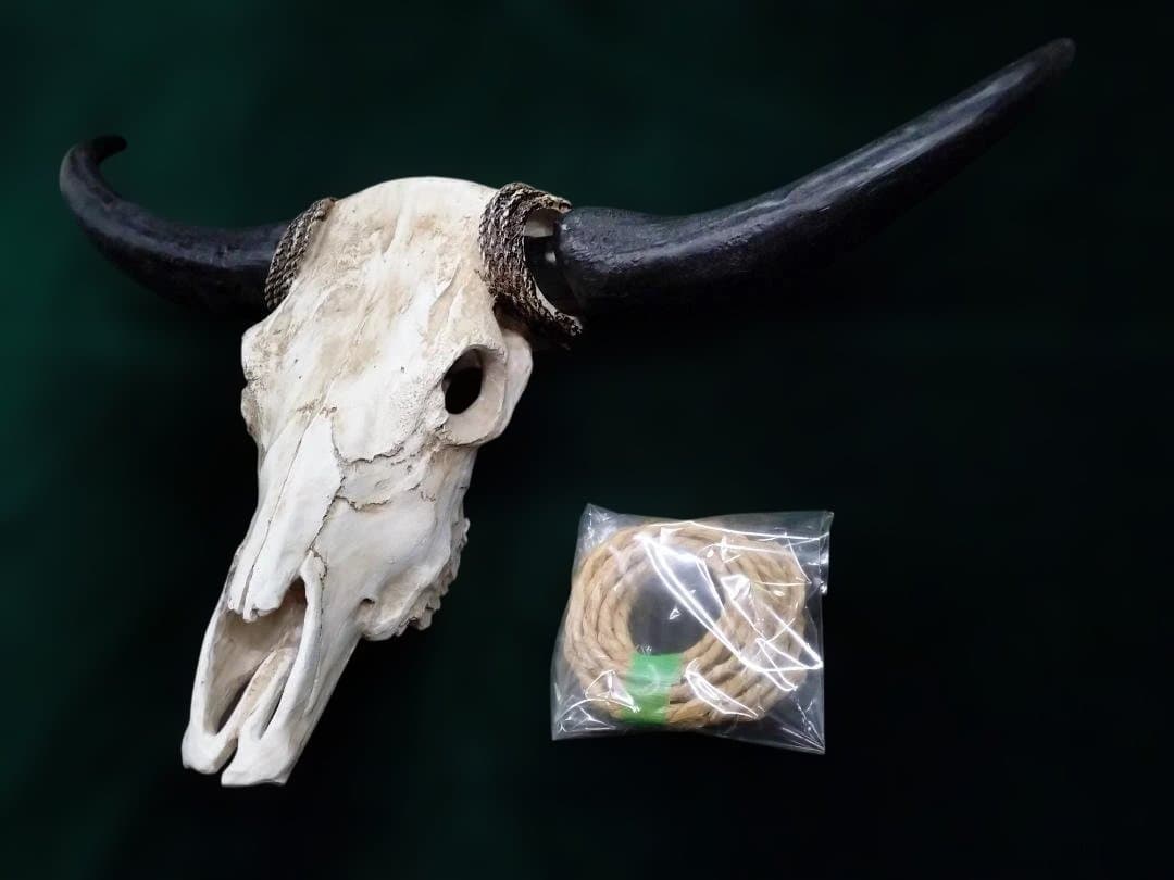 テキサス・ロングホーン・スカル　壁掛け　精巧な模造品 インテリア　装飾品