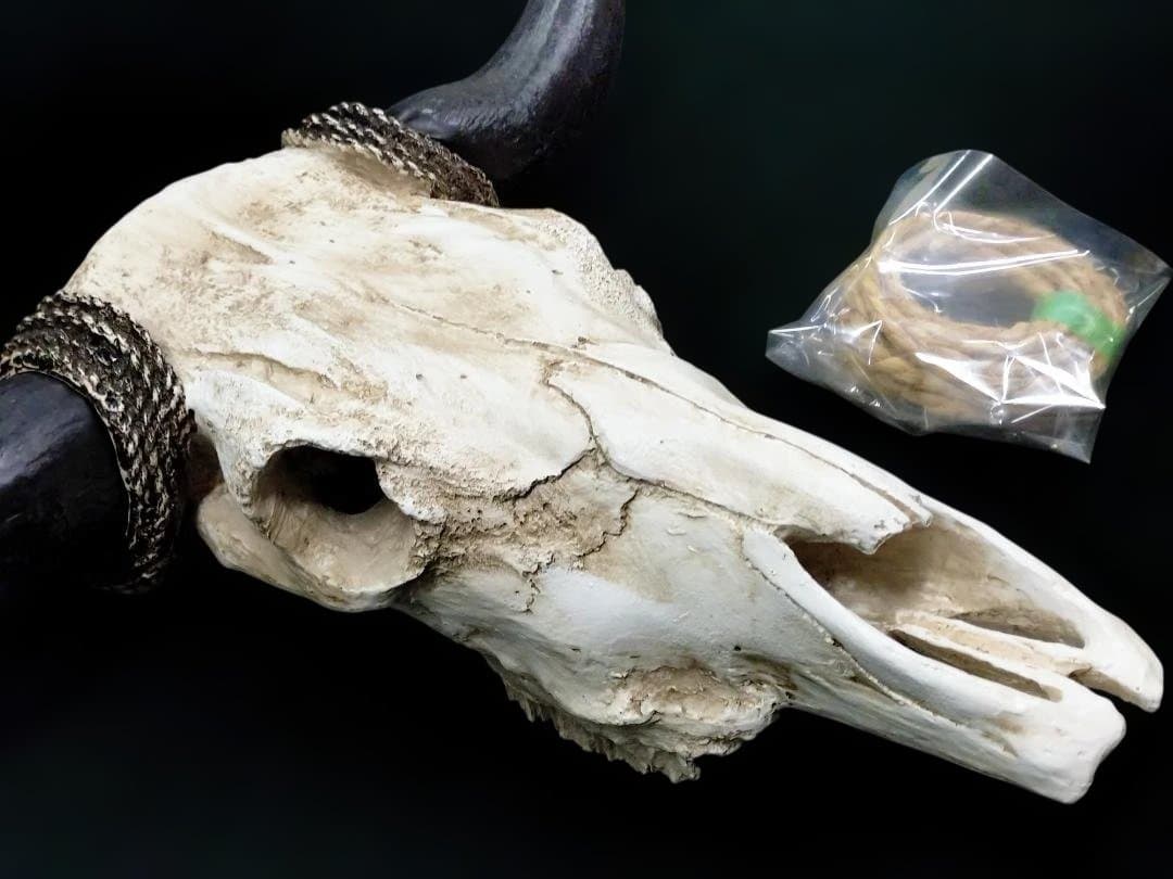 テキサス・ロングホーン・スカル　壁掛け　精巧な模造品 インテリア　装飾品