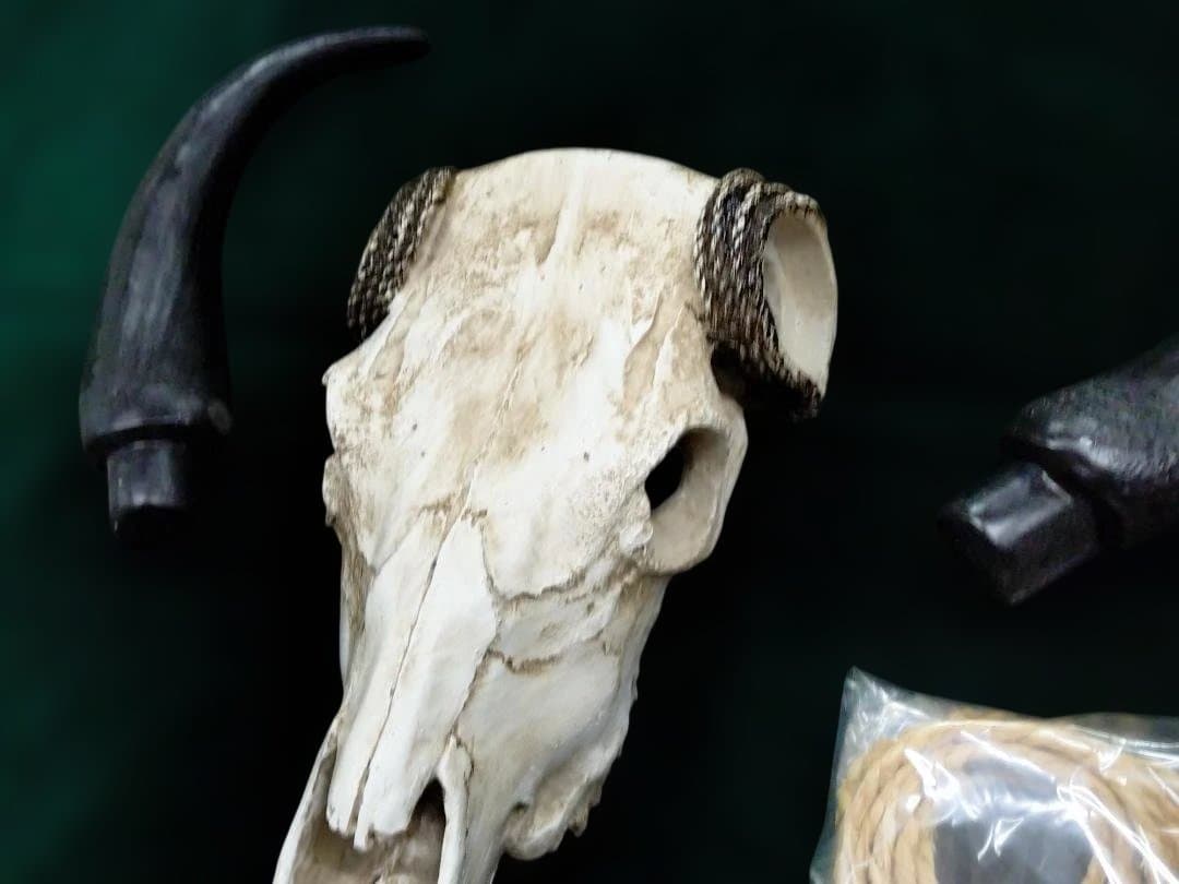 テキサス・ロングホーン・スカル　壁掛け　精巧な模造品 インテリア　装飾品