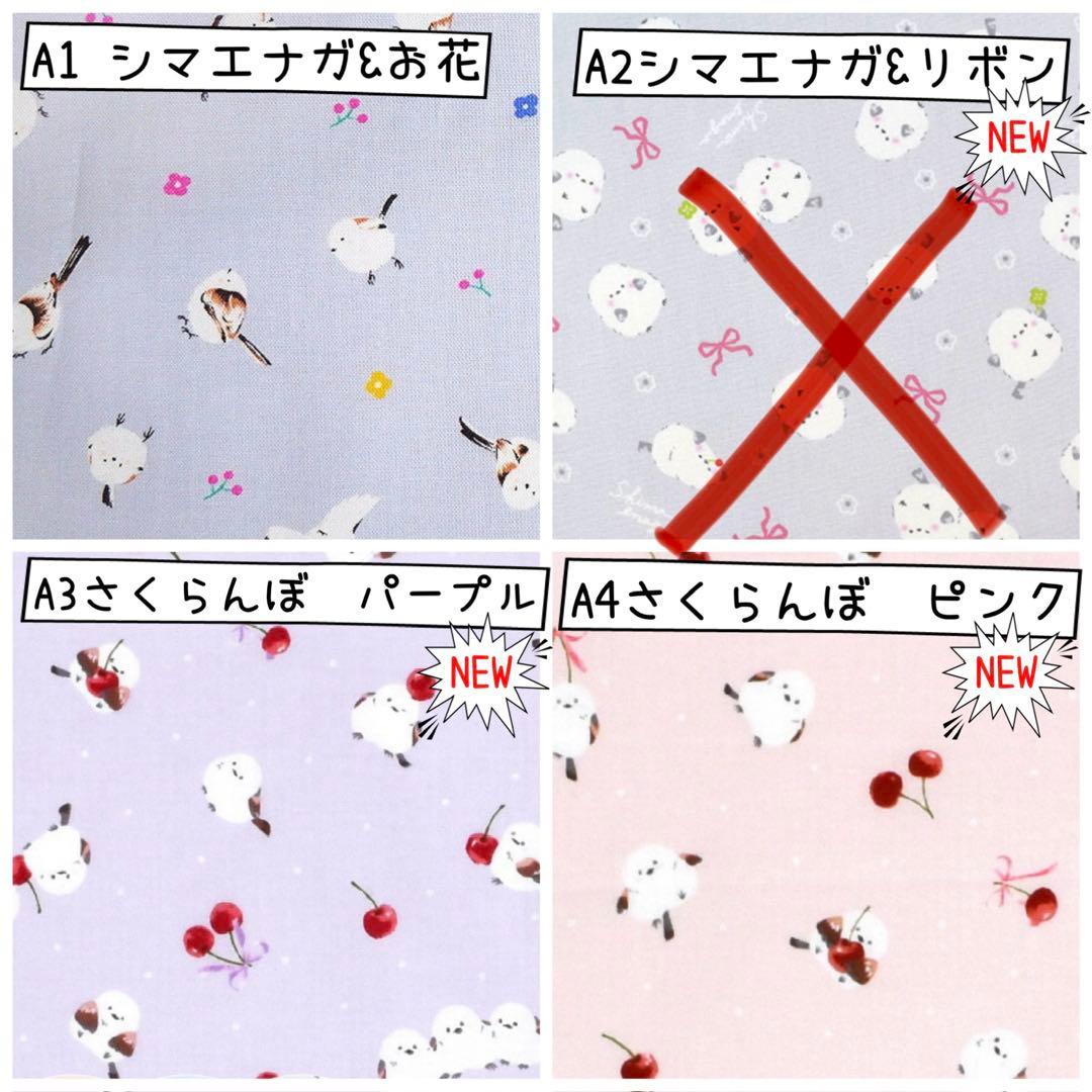 入園 入学 ☆レッスンバッグ　オーダー　女の子《動物　シマエナガ　雪の妖精》