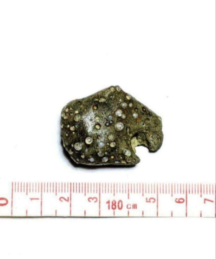 Y*u様 青森県産 今別町産 袰月産 舎利母石 原石 奇石 安山岩 子持ち石