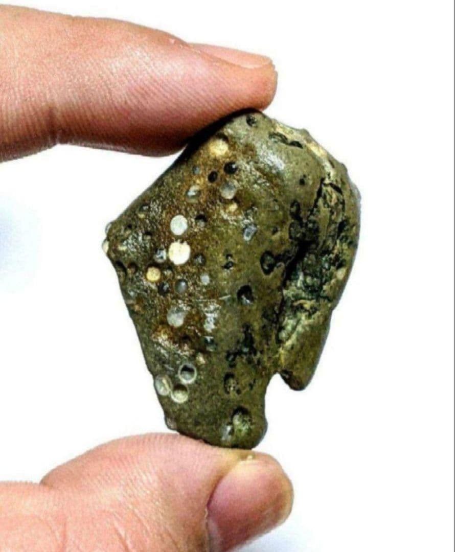 Y*u様 青森県産 今別町産 袰月産 舎利母石 原石 奇石 安山岩 子持ち石