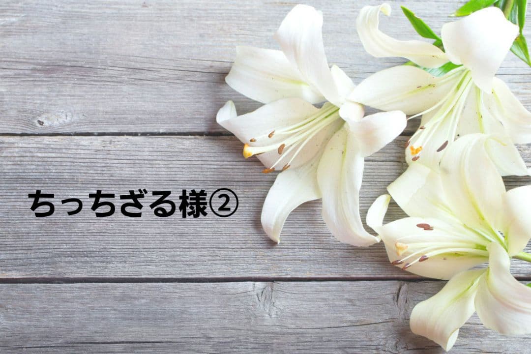 ちっちざる様ご確認用ページ ちっちざる様ご確認用ページ ☆ ちっち