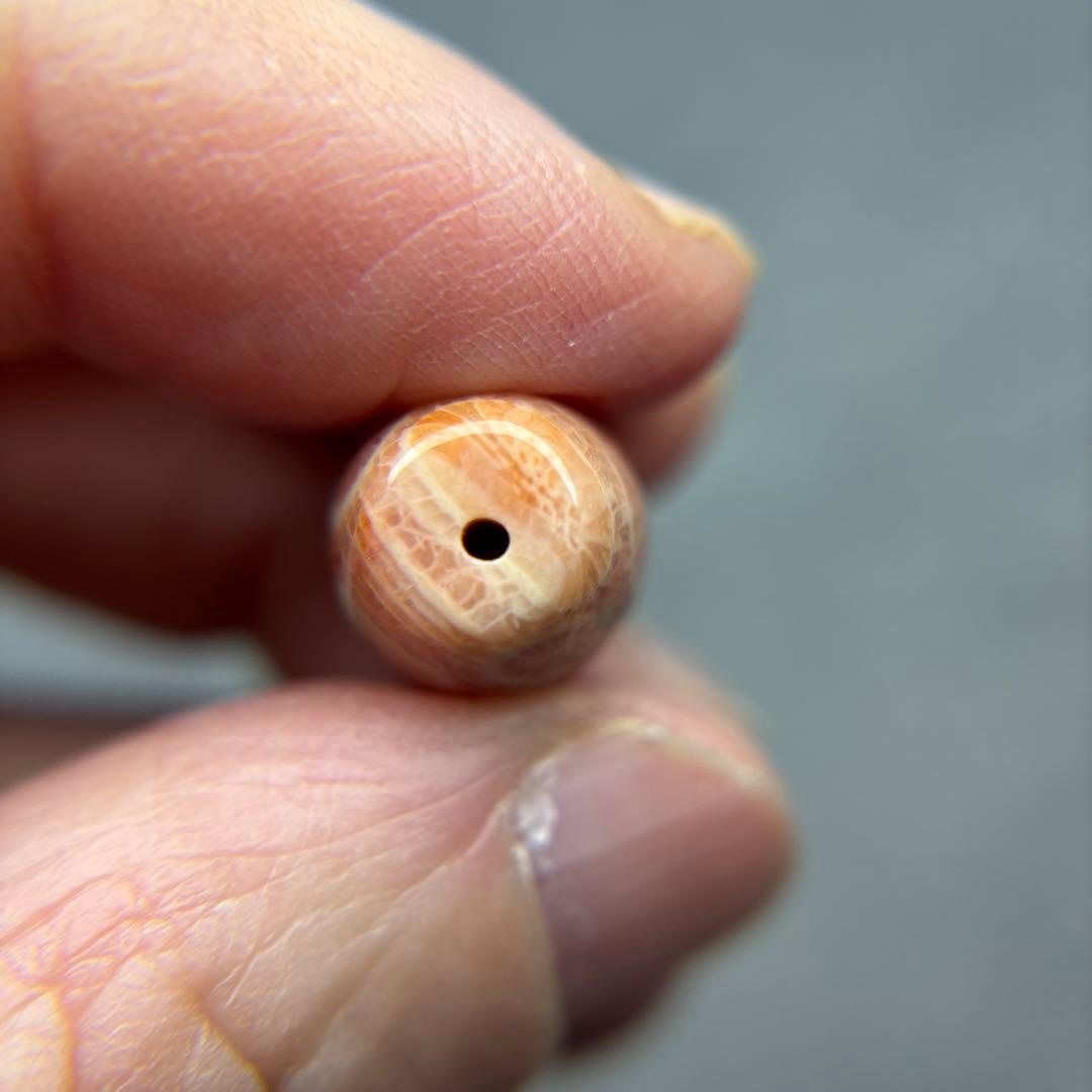 あずきちゃんフォッシルコーラル　天珠　1-297