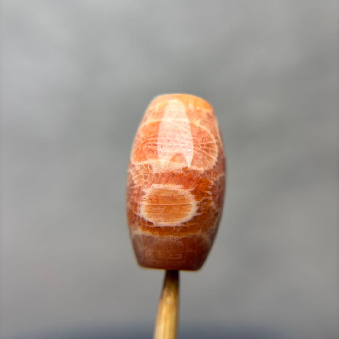 あずきちゃんフォッシルコーラル　天珠　1-297