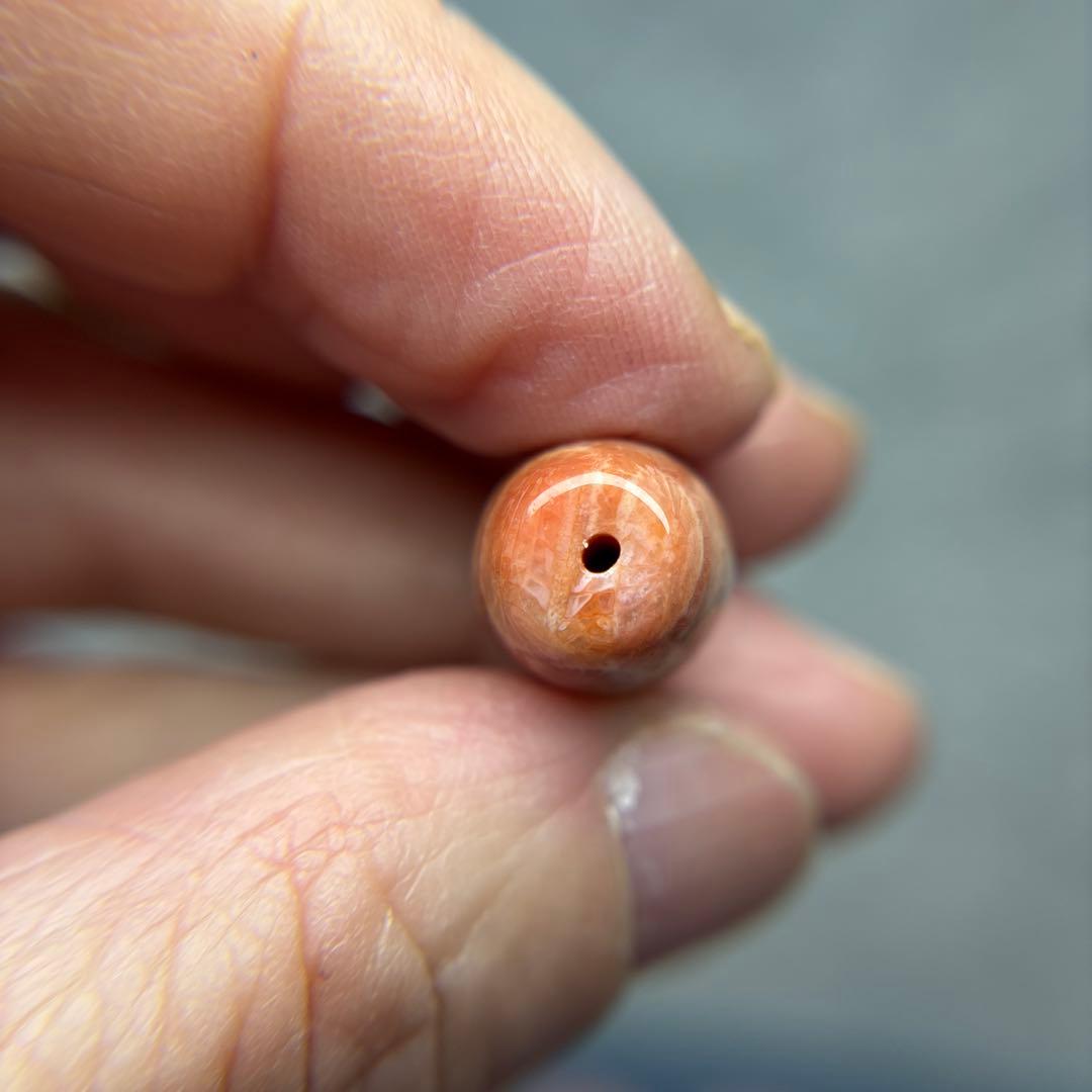 あずきちゃんフォッシルコーラル　天珠　1-297