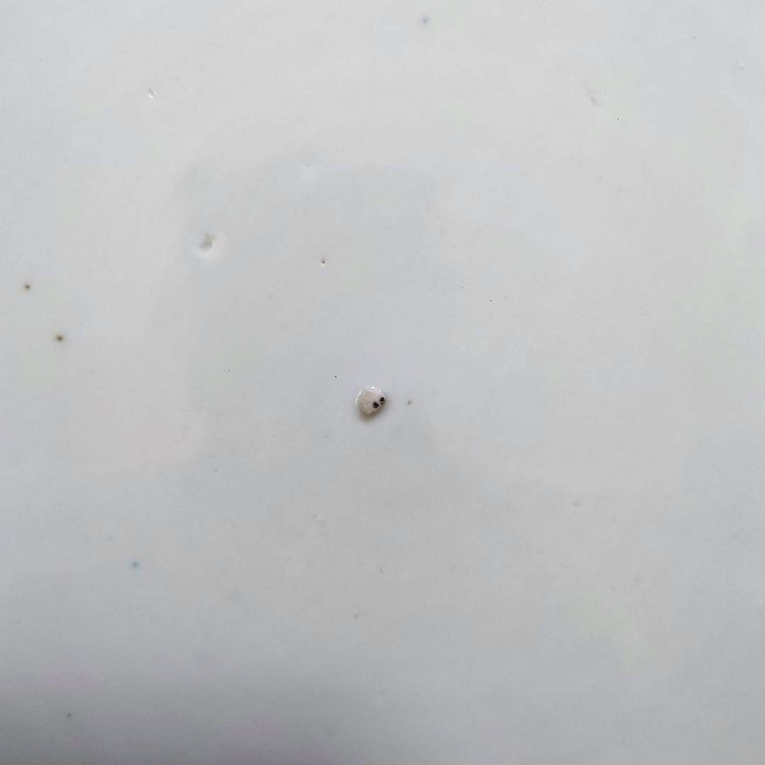 新春特価⚫希少特大皿⚫古伊万里色絵松竹梅花唐子図大皿⚫直径約46.5cm