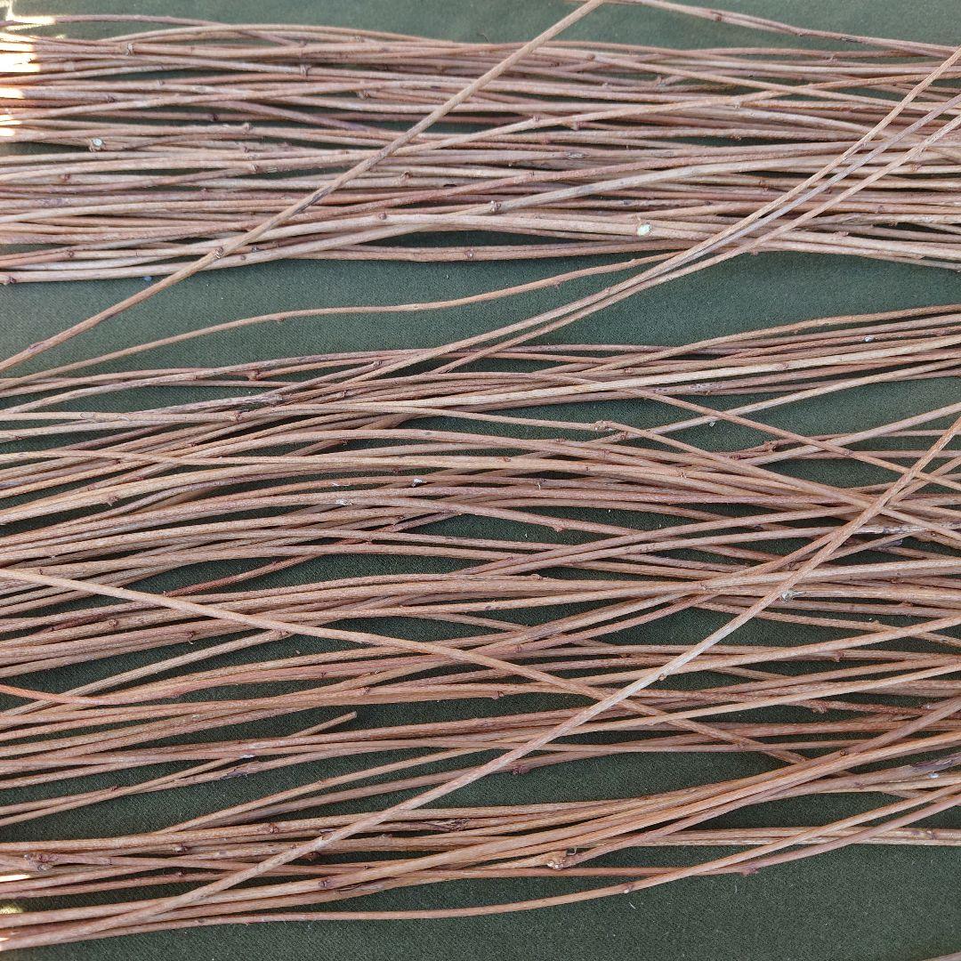 あけび蔓 アケビの蔓(根蔓ランナー) | ちいくろ工房