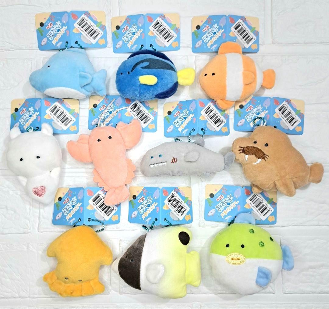 つぶらな瞳の水族館 60種 のうち 10種セット - メルカリ