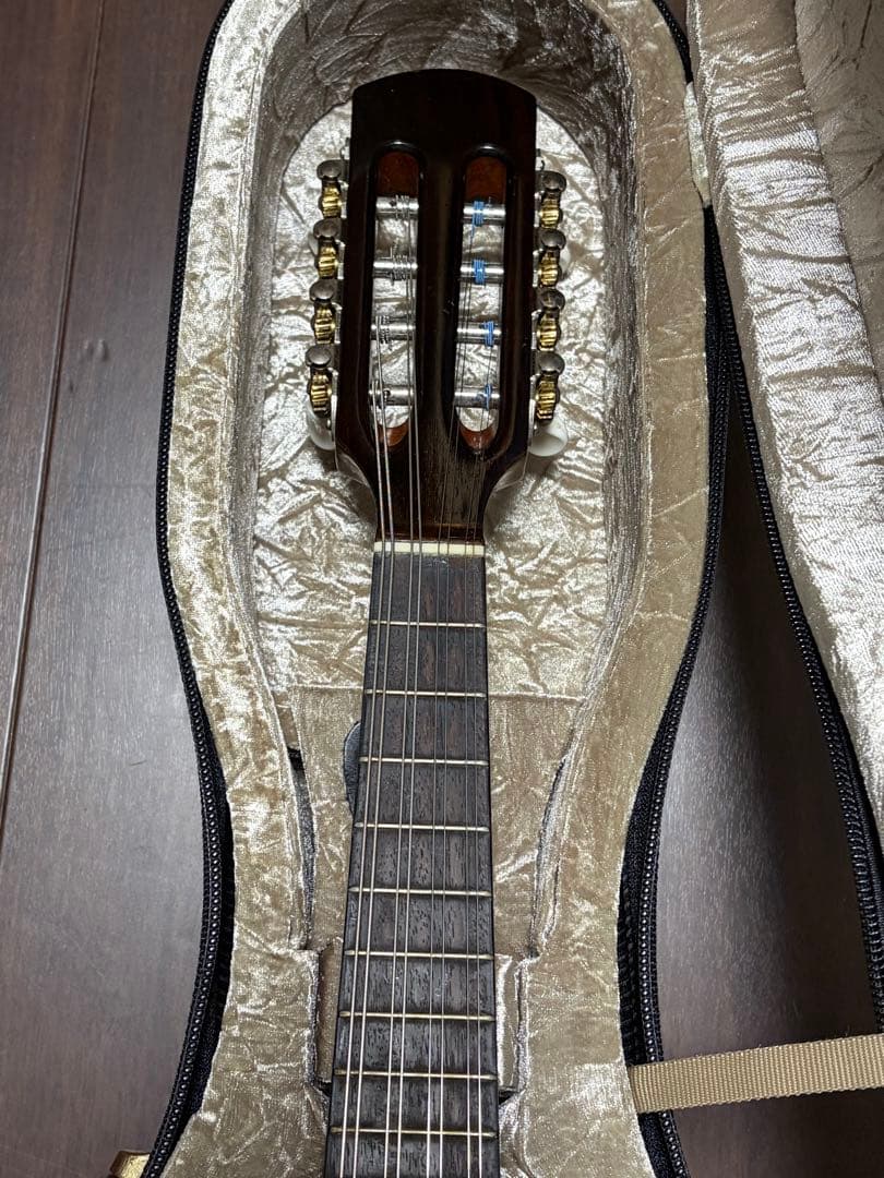 ✴︎美品✴︎お得✴︎ スズキ製マンドリン M-30 & 美品スーパーライト