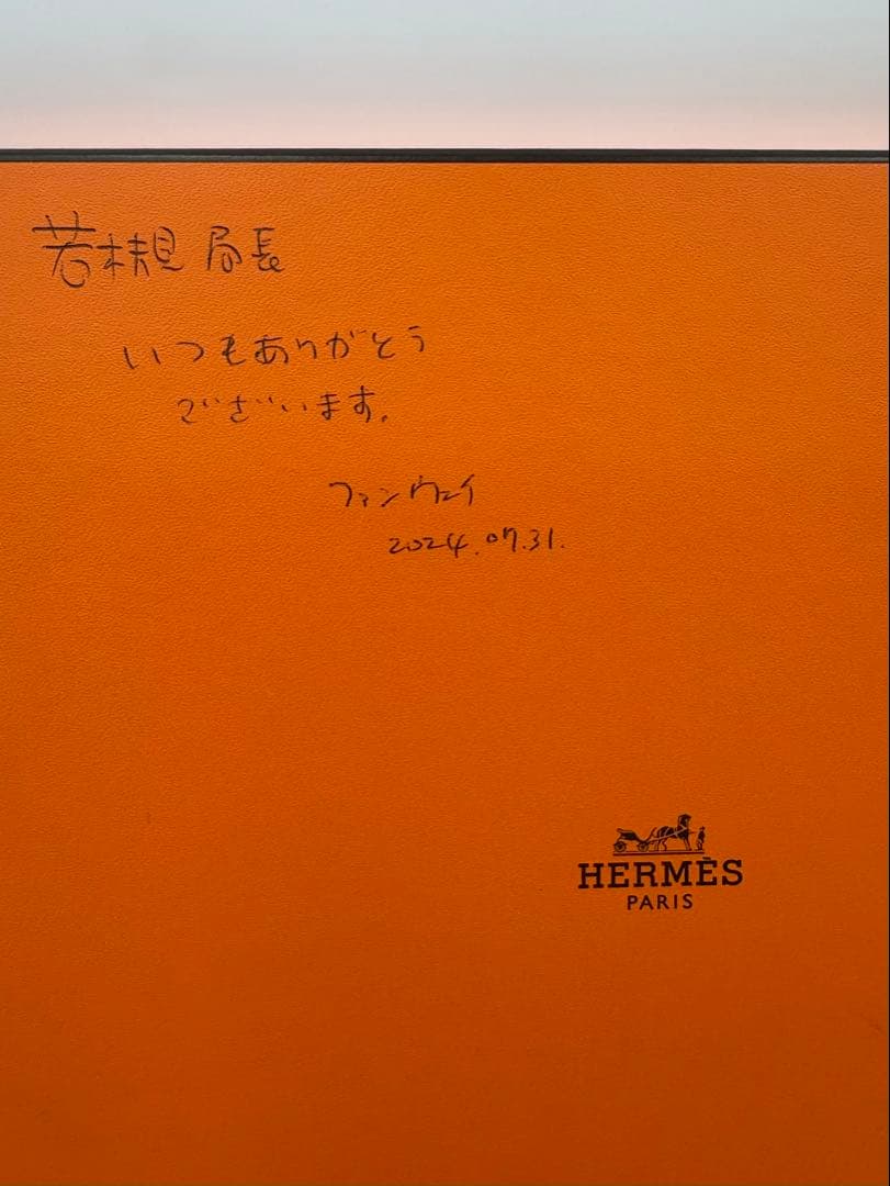 未使用保管品　エルメス　赤道直下のスケッチ　21cm ジャガー　プレート 箱付き