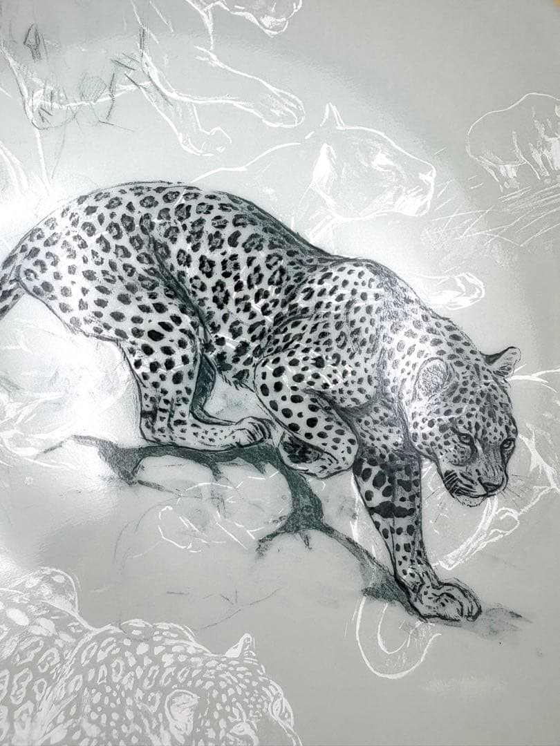 未使用保管品　エルメス　赤道直下のスケッチ　21cm ジャガー　プレート 箱付き