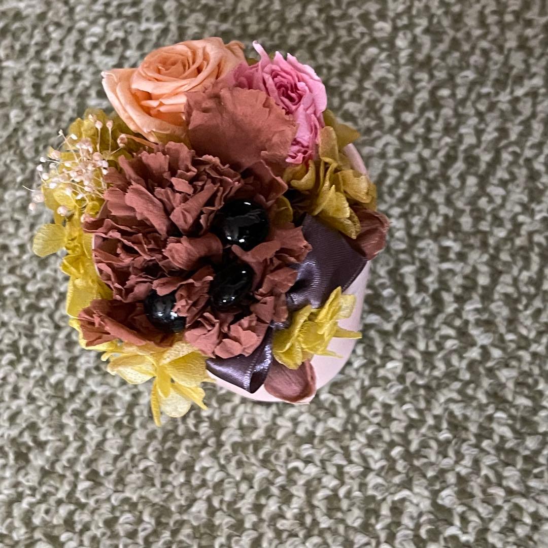 犬　トイプードル　プリザーブドフラワー