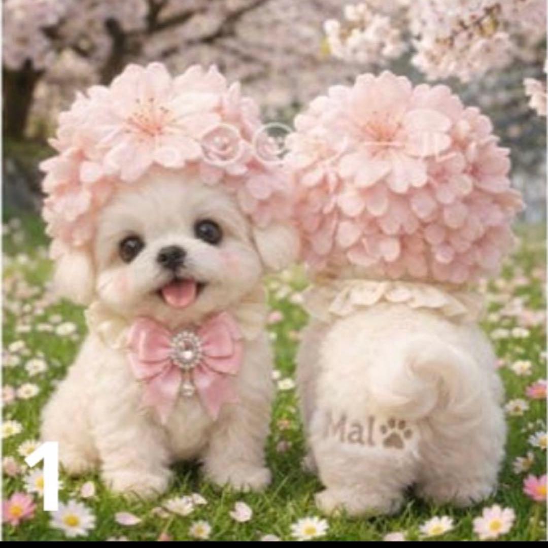 ♥むっち♥ ♡♬.*゜