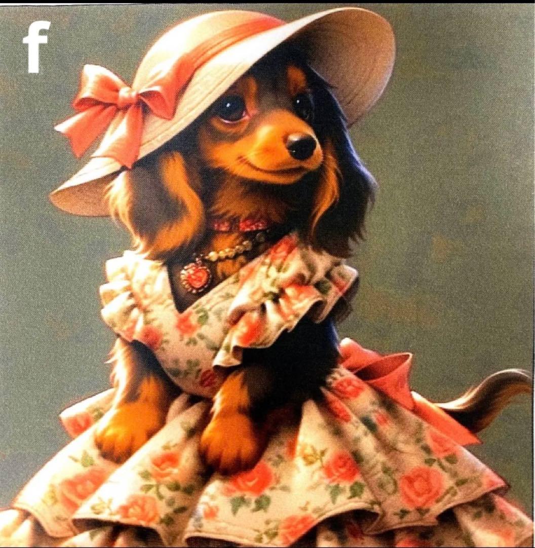 オーダーページ パネル お洒落 ミニチュアダックス 9/26