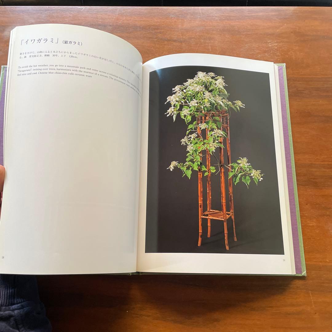 清香園美術盆栽 銘品盆栽集｜伝統園芸・名園資料 - メルカリ