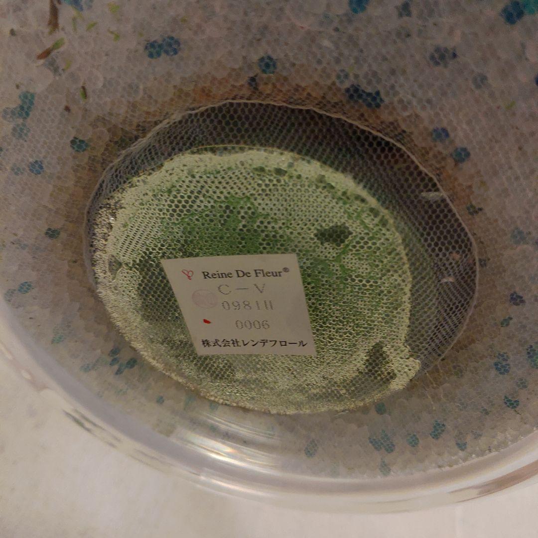 レンデフロール（C-V）