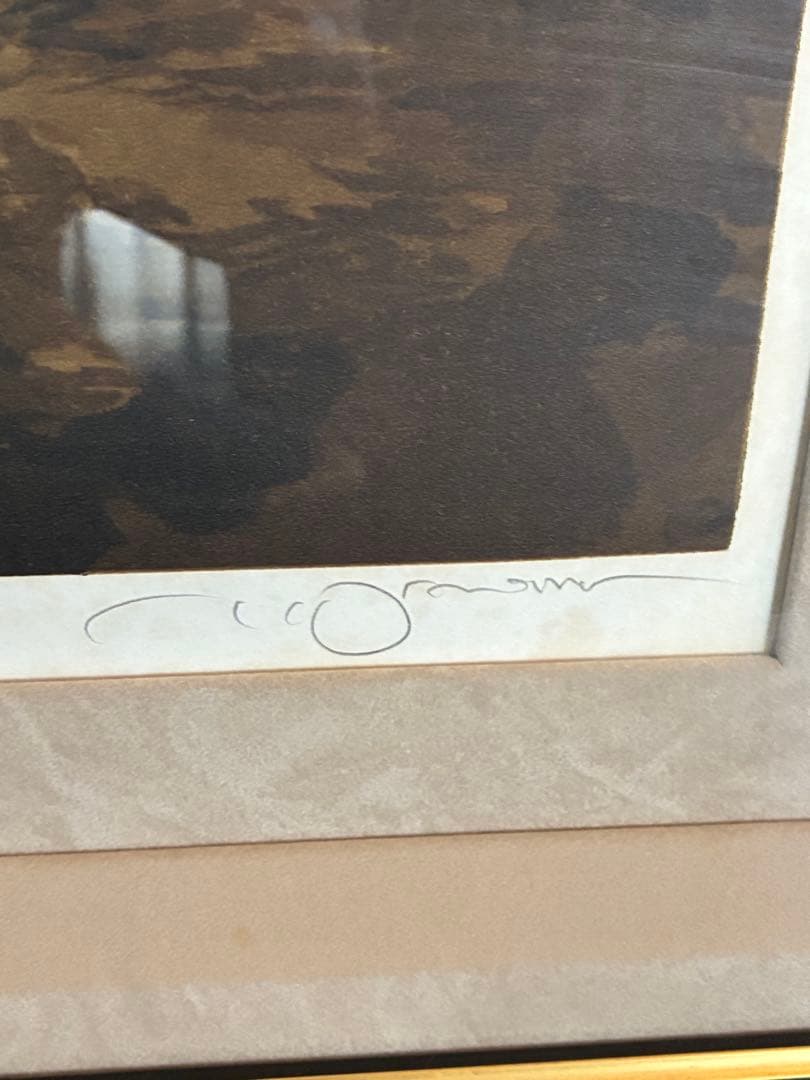 天野喜孝 出会い リトグラフ 403/450 ヴァンパイアハンターD - メルカリ