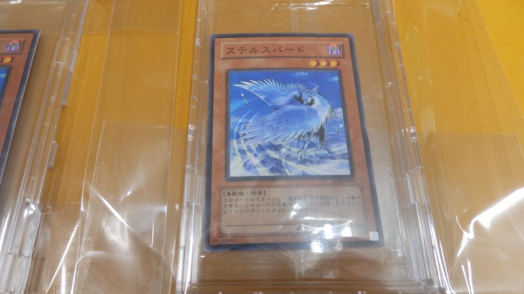 ステルスバード☆