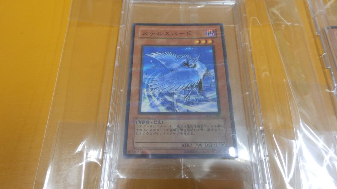 ステルスバード☆