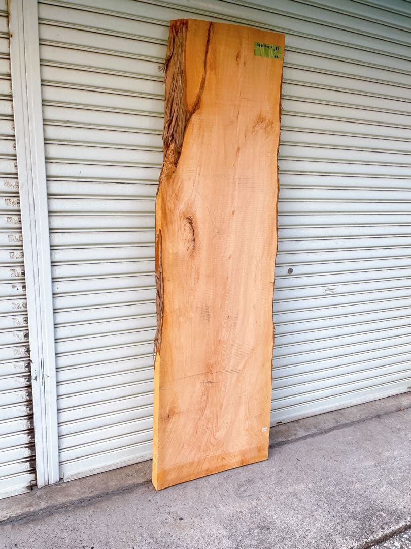 天然　槙　木材　天板　無垢材　一枚板　テレビ台　ベンチ　カウンターテーブル