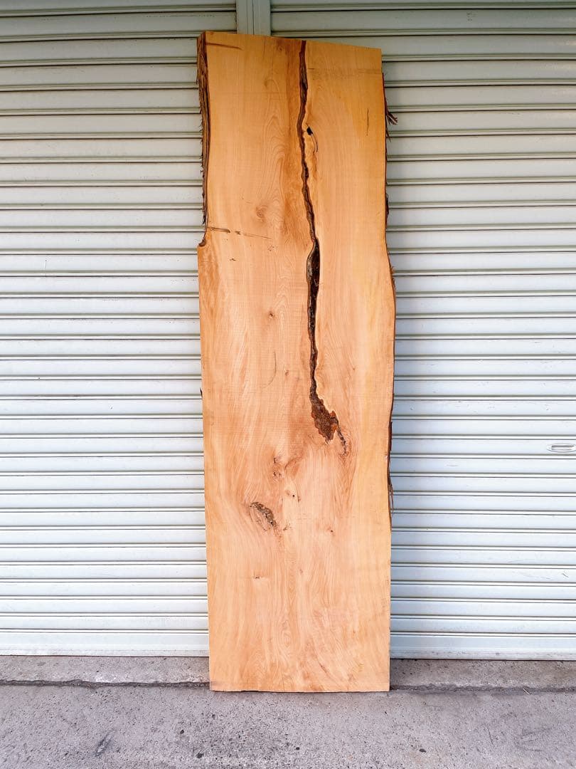 天然　槙　木材　天板　無垢材　一枚板　テレビ台　ベンチ　カウンターテーブル
