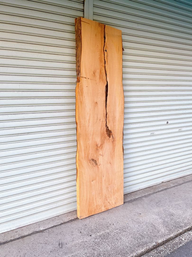 天然　槙　木材　天板　無垢材　一枚板　テレビ台　ベンチ　カウンターテーブル