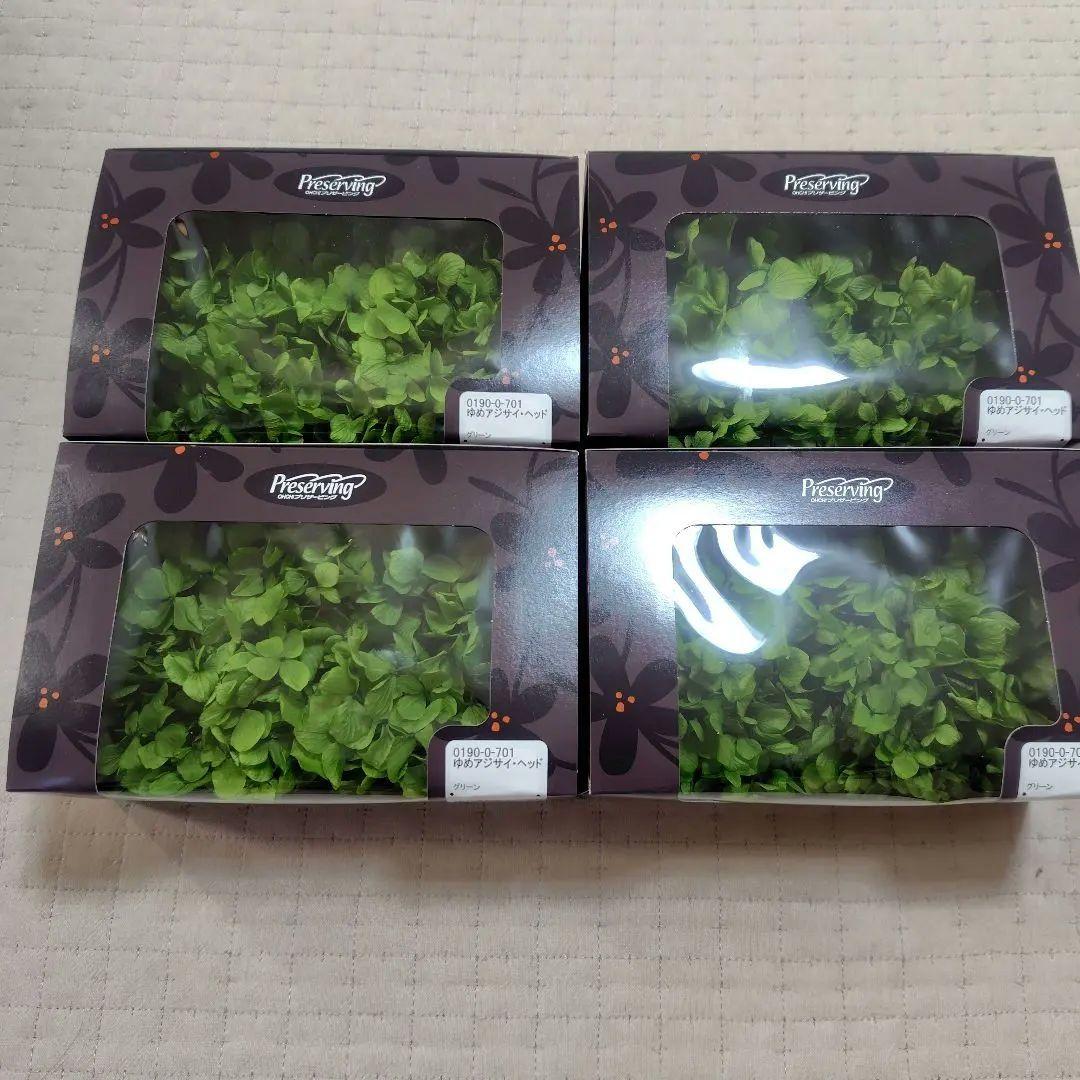 日本製 プリザーブドフラワー 大地農園 あじさい EARTHMATTERS - メルカリ