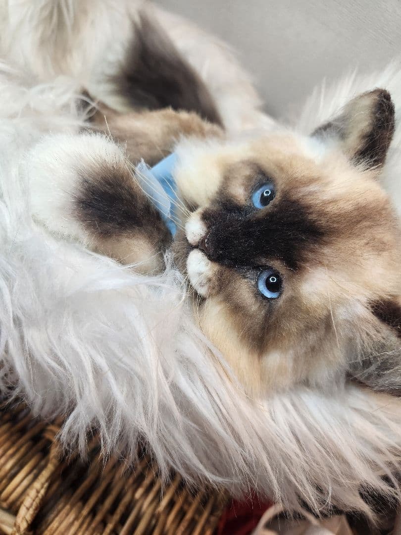 猫 海外作家 リアル アートドール ブライス テディベア