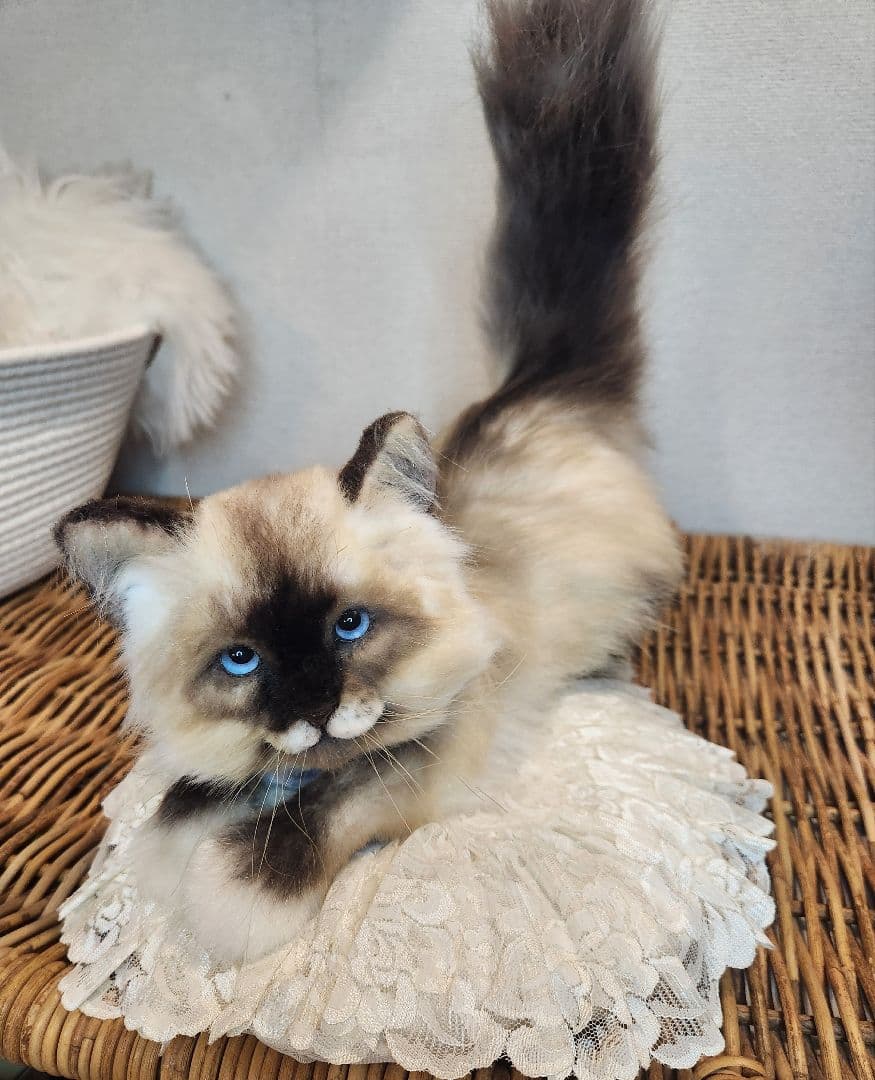 猫 海外作家 リアル アートドール ブライス テディベア