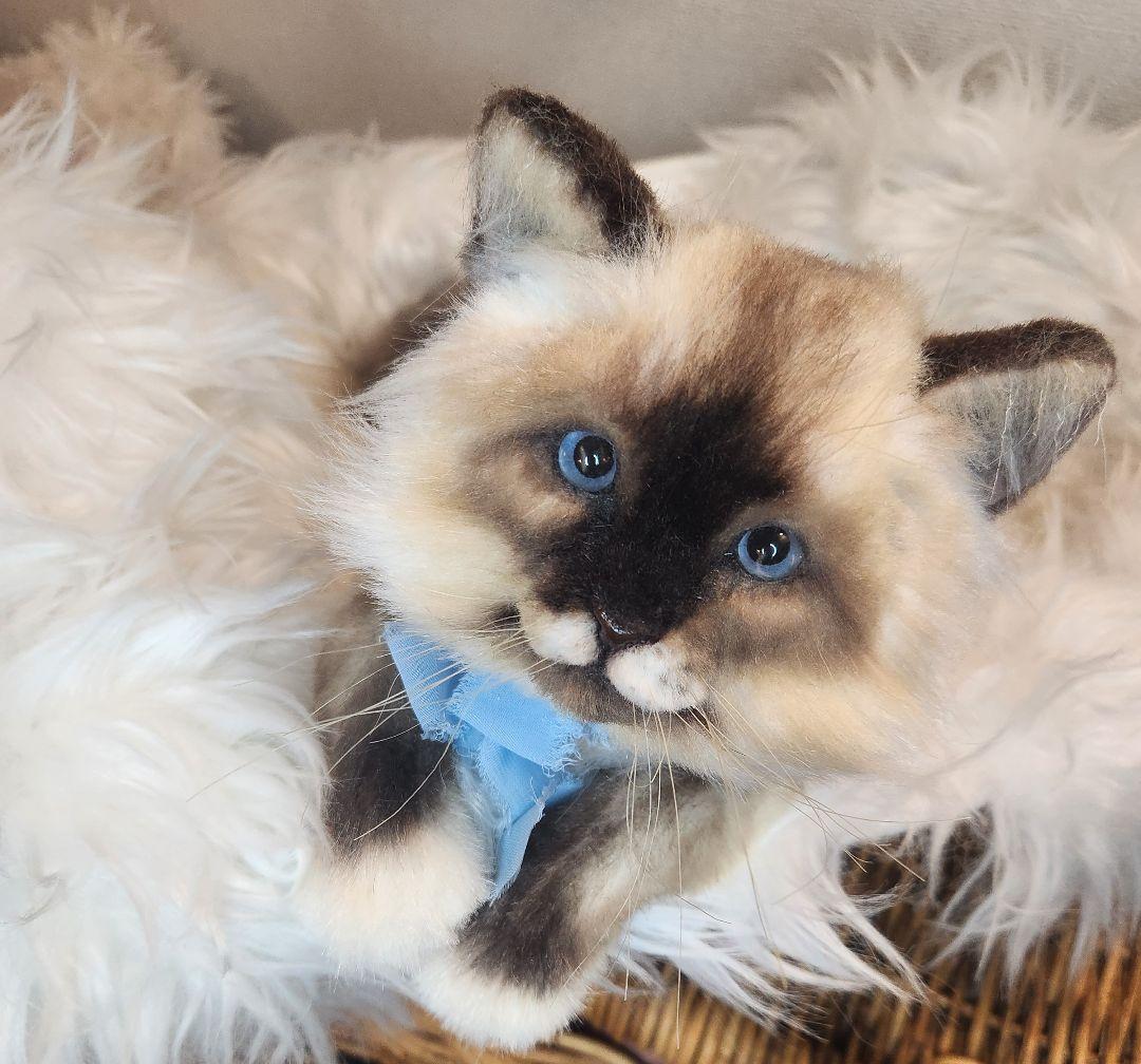 猫 海外作家 リアル アートドール ブライス テディベア