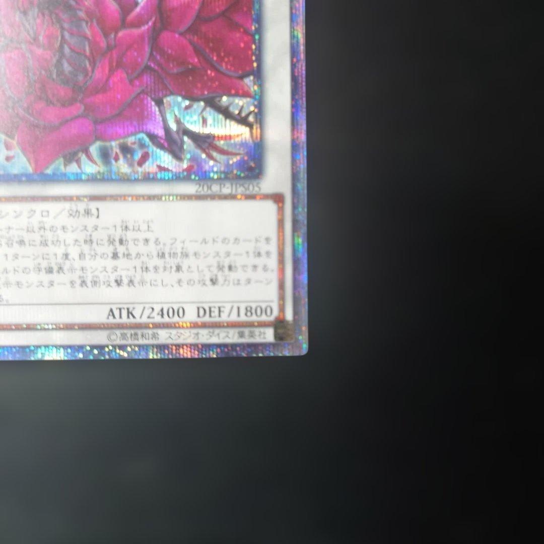 【美品】遊戯王 ブラックローズドラゴン 20thシークレット