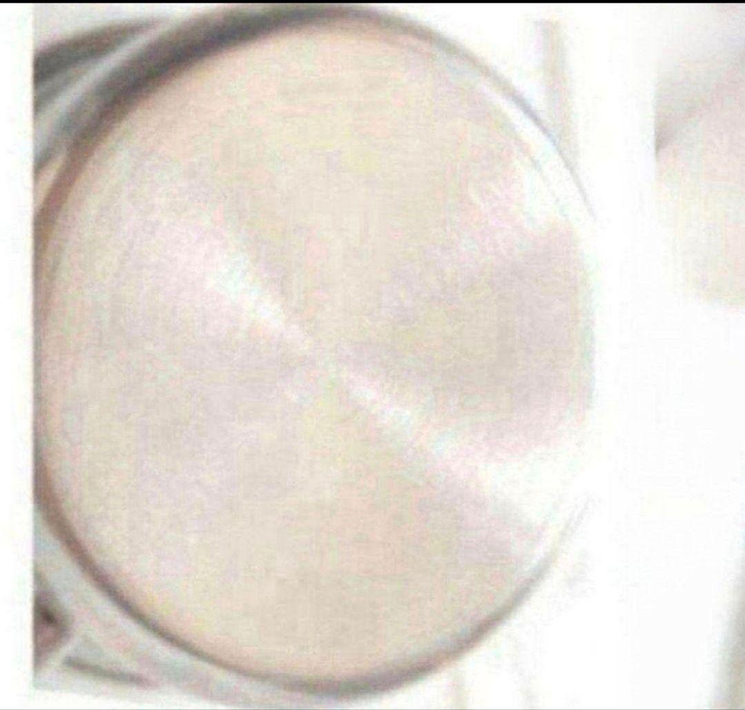 使用10回未満 アムウェイ 大ソースパン インダクションレンジ対応@ Amway